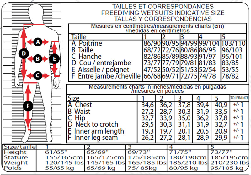 Fused Hawaii Size Chart